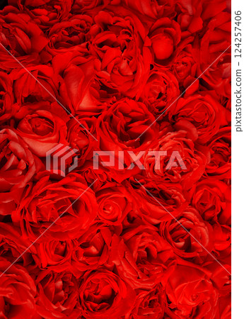 Natural background of rose petals 124257406