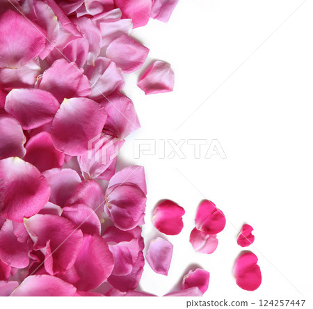 Natural background of rose petals Natural background of rose petals 124257447