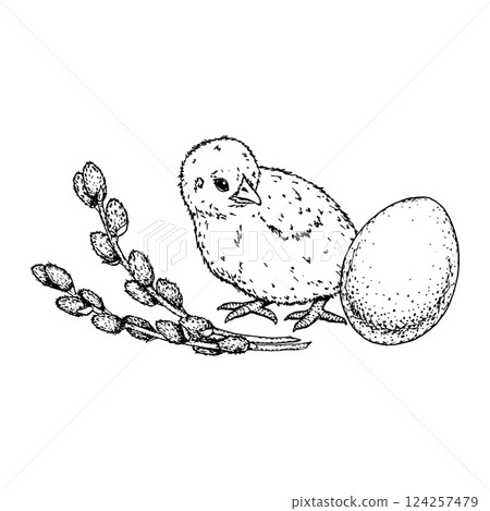A black and white ink drawing of an Easter chick with an egg and willow branch. A perfect design for greeting cards, packaging, branding, invitations, textiles, DIY and festive scrapbooking A black and white ink drawing of an Easter chick with an egg and willow branch. A perfect design for greeting cards, packaging, branding, invitations, textiles, DIY and festive scrapbooking 124257479