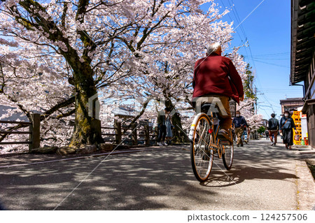 210411 中橋櫻 z406 124257506