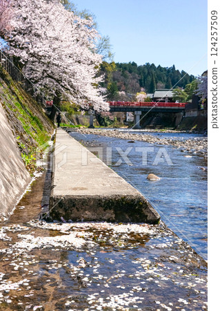 210411 Nakahashi Sakura z423 210411 Nakahashi Sakura z423 124257509