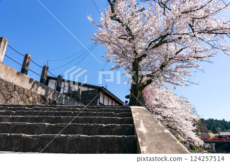 210411 Nakahashi Sakura z456 210411 Nakahashi Sakura z456 124257514