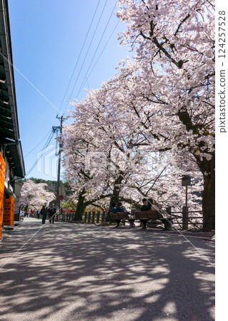 210411 中橋櫻 z590 124257528