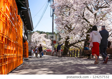 210411 Nakahashi Sakura Z600 124257532