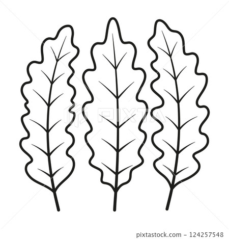 arugula leaves in contour 124257548