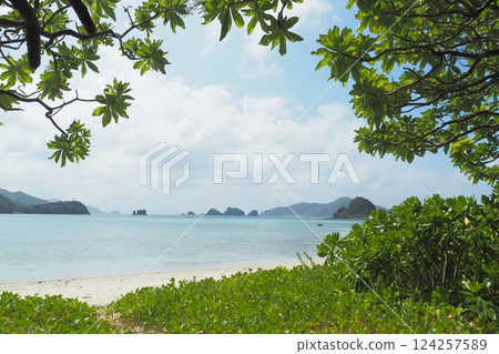 座間味島海女海灘的夏日風景 124257589