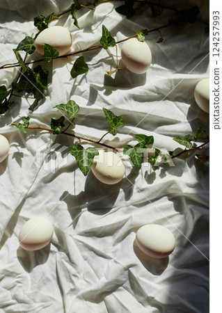 Spring nature decor with white eggs and fresh ivy leaves for Easter celebration 124257993