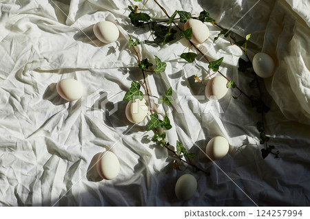 Spring nature decor with white eggs and fresh ivy leaves for Easter celebration Spring nature decor with white eggs and fresh ivy leaves for Easter celebration 124257994