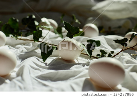 Spring nature decor with white eggs and fresh ivy leaves for Easter celebration 124257996