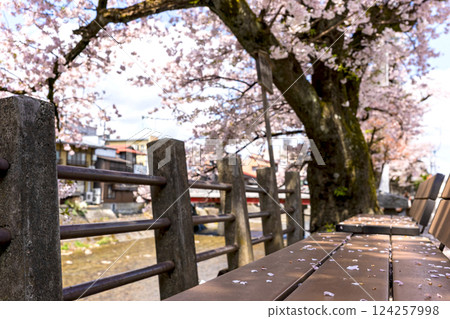 200427 中橋櫻 z007 124257998