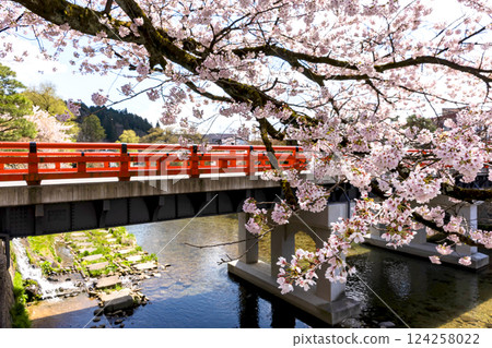 200427 Nakahashi Sakura z107 124258022