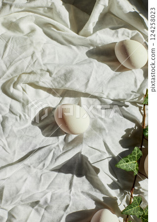 Spring nature decor with white eggs and fresh ivy leaves for Easter celebration 124258023