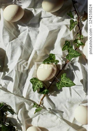 Spring nature decor with white eggs and fresh ivy leaves for Easter celebration 124258024