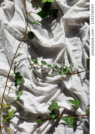 Ivy branches on crumpled white fabric in natural light create a serene and tranquil setting Ivy branches on crumpled white fabric in natural light create a serene and tranquil setting 124258044