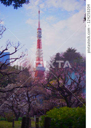 春天的東京塔 春天的東京塔 124258204
