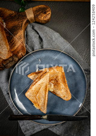 Grilled cheese sandwich. 124258409