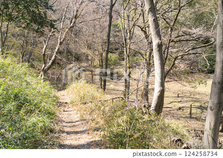 飯山白山森林公園的健行路線 飯山白山森林公園的健行路線 124258734