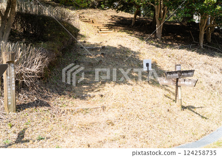從飯山白山森林公園到櫻山的登山口 124258735