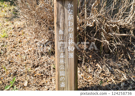 飯山白山森林公園 飯山白山森林公園 124258736