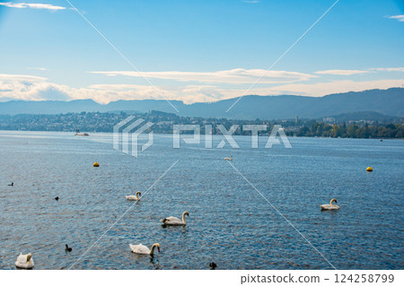 View of the Swiss countryside and clean water sources 124258799