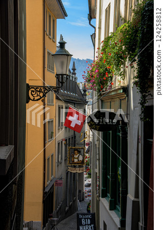 瑞士鄉村景色和清澈的水源 124258812