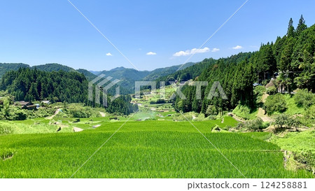 鞍掛山山麓的藍天與綠色梯田被新綠點綴(愛知縣新城市四谷千枚田) 鞍掛山山麓的藍天與綠色梯田被新綠點綴(愛知縣新城市四谷千枚田) 124258881