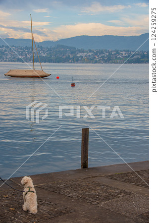 Beautiful natural scenery and cityscapes in Switzerland, Europe 124259275