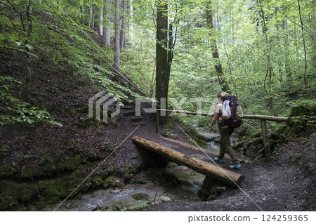 Feuersteinschlucht, Munich Way of St. James, Bavaria, Germany 124259365