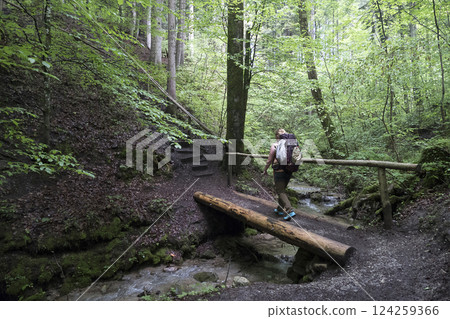 Feuersteinschlucht, Munich Way of St. James, Bavaria, Germany 124259366