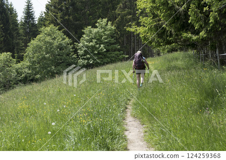 Hiking trail from Ahegg to Weitnau, Munich Way of St. James, Bavaria, Germany Hiking trail from Ahegg to Weitnau, Munich Way of St. James, Bavaria, Germany 124259368