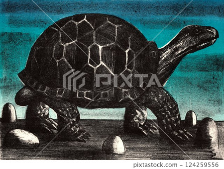 big turtle big turtle 124259556