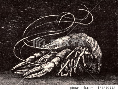 Two crayfish. lovers 124259558
