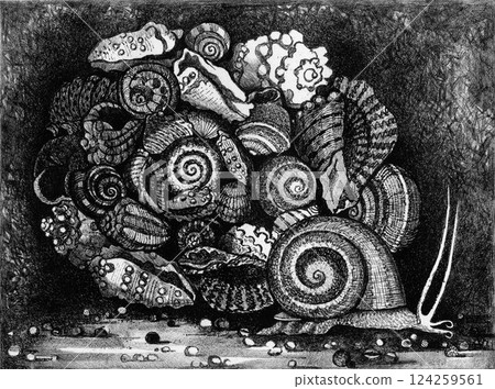 Snail with a pile of empty shells 124259561