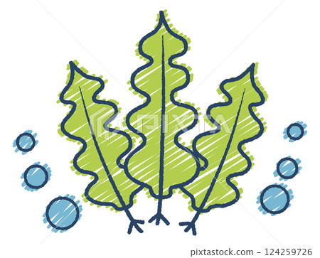 Hand-drawn seaweed illustration 124259726