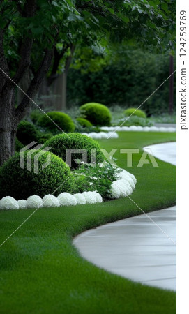 Beautifully manicured lawn with curved edges and rounded shrubs. A pristine and elegant garden design 124259769