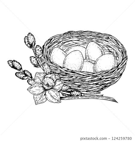 Hand drawn black and white ink illustration of a nest with eggs, decorated with blooming daffodil and pussy willow branches. Ideal for spring holidays, Easter cards, packaging, crafts, gardening theme Hand drawn black and white ink illustration of a nest with eggs, decorated with blooming daffodil and pussy willow branches. Ideal for spring holidays, Easter cards, packaging, crafts, gardening theme 124259780