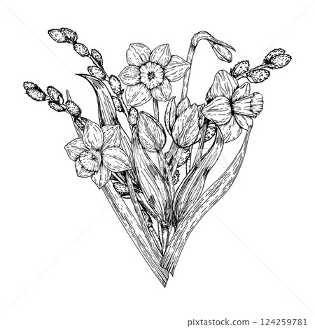 Detailed black and white hand drawn illustration of blooming daffodils and tulip buds with long leaves. Ink clip art is suitable for spring themes, floral books, botanical prints, garden projects. 124259781