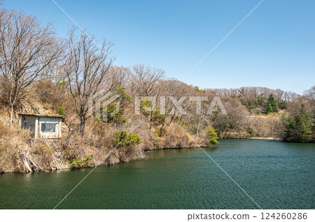 大阪府交野市交野生物村白旗池 大阪府交野市交野生物村白旗池 124260286