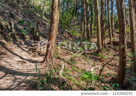 大阪府交野市森林健行道 124260291