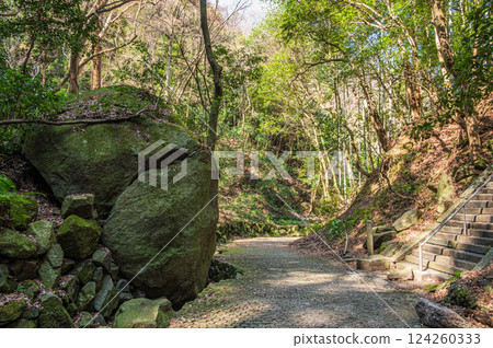 The Road to Genji Falls, Katano Eight Scenic Views, Katano City, Osaka Prefecture 124260333