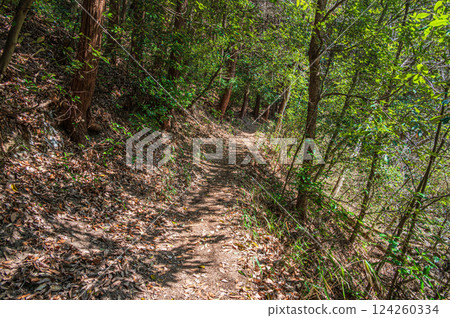 Hiking trail through the forest, Katano City, Osaka Prefecture Hiking trail through the forest, Katano City, Osaka Prefecture 124260334