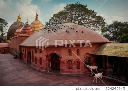 Maa Kamakhya Temple in Guwahati city of Assam state in India Maa Kamakhya Temple in Guwahati city of Assam state in India 124260645