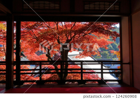 橫國寺：寺內觀賞的秋葉 124260908