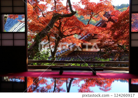 橫國寺:寺內觀賞的秋葉 橫國寺:寺內觀賞的秋葉 124260917
