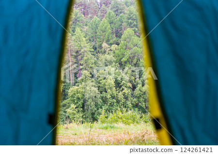 View from inside a camping tent revealing a beautiful, tranquil forest, perfect for a peaceful getaway 124261421