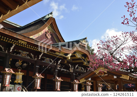 北野天滿宮參拜殿與神樹“飛梅” 北野天滿宮參拜殿與神樹“飛梅” 124261511