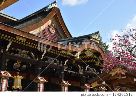 Kitano Tenmangu Shrine - The worship hall and the sacred tree "Tobiume" 124261512