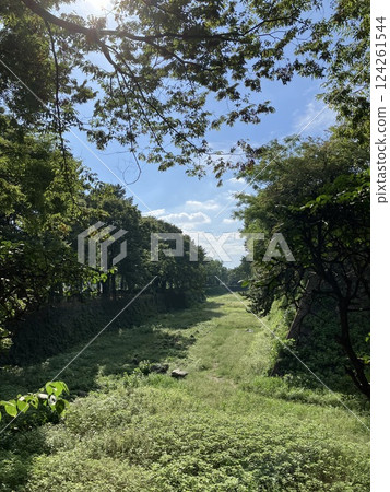 名古屋城堡護城河 124261544