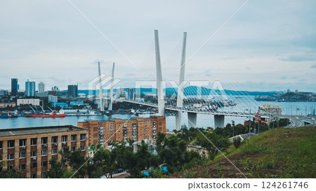 Cable stayed zolotoy bridge crossing golden horn bay with cargo ships and cityscape of vladivostok, primorsky krai, russia 124261746