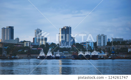 Cargo vessels docked at vladivostok seaport, golden bridge spanning cityscape under overcast sky 124261747